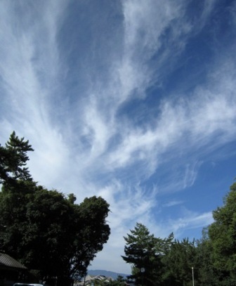 b0173754_111320.jpg