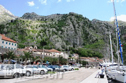 f0019856_9492583.gif