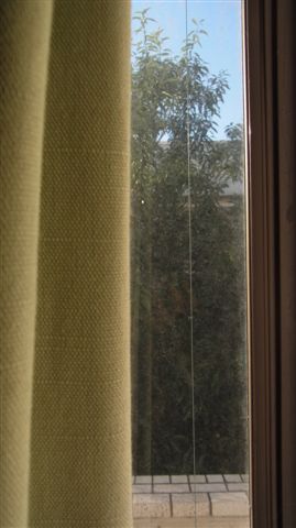 a0123465_0134825.jpg