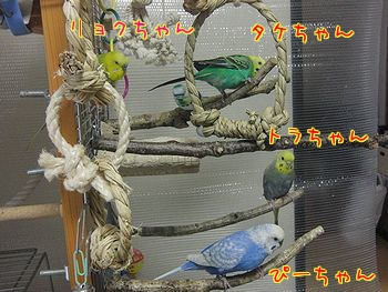 f0196665_2164513.jpg