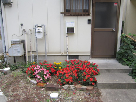秋の日の花壇_f0205367_1235779.jpg