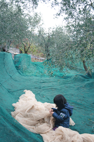 b0120269_23592260.gif