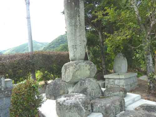 漏洩文書: 貿易協定が、敬遠されたACT法案を実現する秘密の裏口として機能する ジェーン・ケルシー_c0139575_22521693.jpg