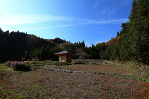 f0075075_81747.jpg