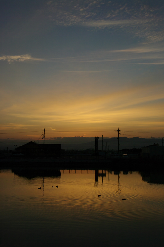 f0192778_1057163.jpg