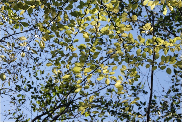 e0027083_21583878.jpg