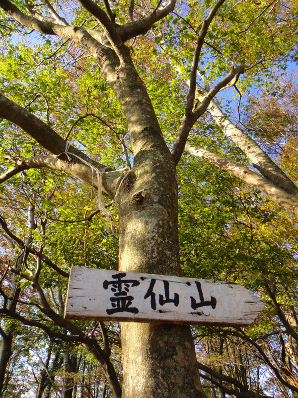 2011/11/01 霊仙山_b0220886_10274337.jpg