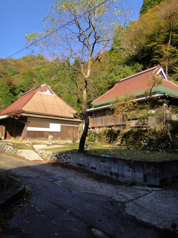 2011/11/01 霊仙山_b0220886_1048826.jpg