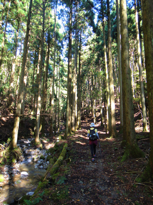 2011/11/01 霊仙山_b0220886_10524935.jpg