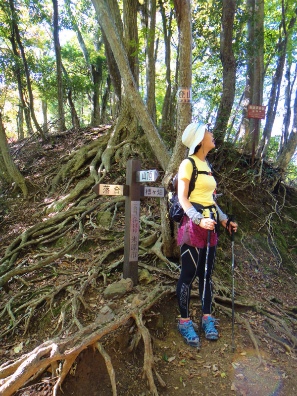 2011/11/01 霊仙山_b0220886_10553524.jpg
