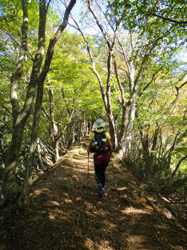 2011/11/01 霊仙山_b0220886_1059081.jpg