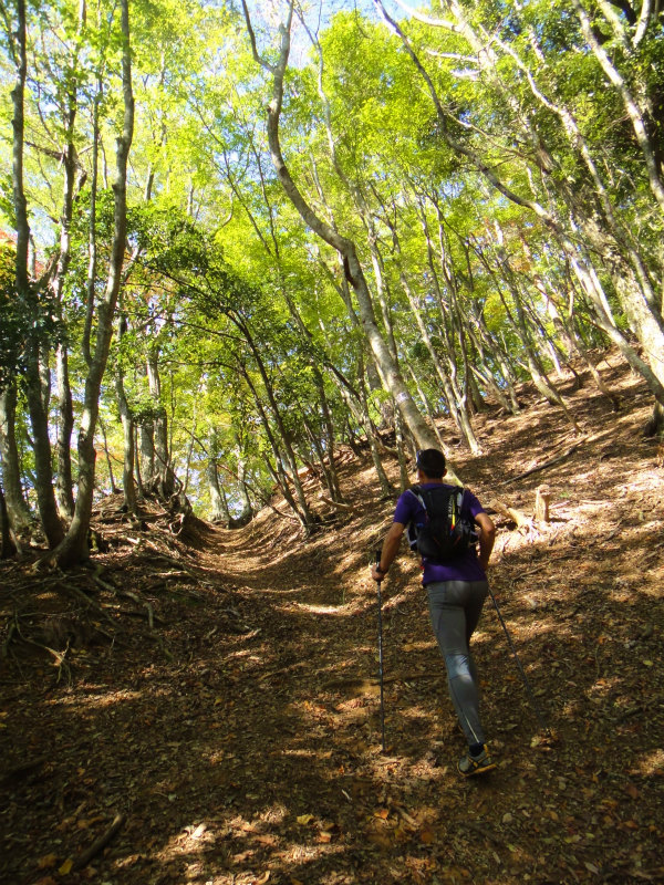 2011/11/01 霊仙山_b0220886_10591017.jpg