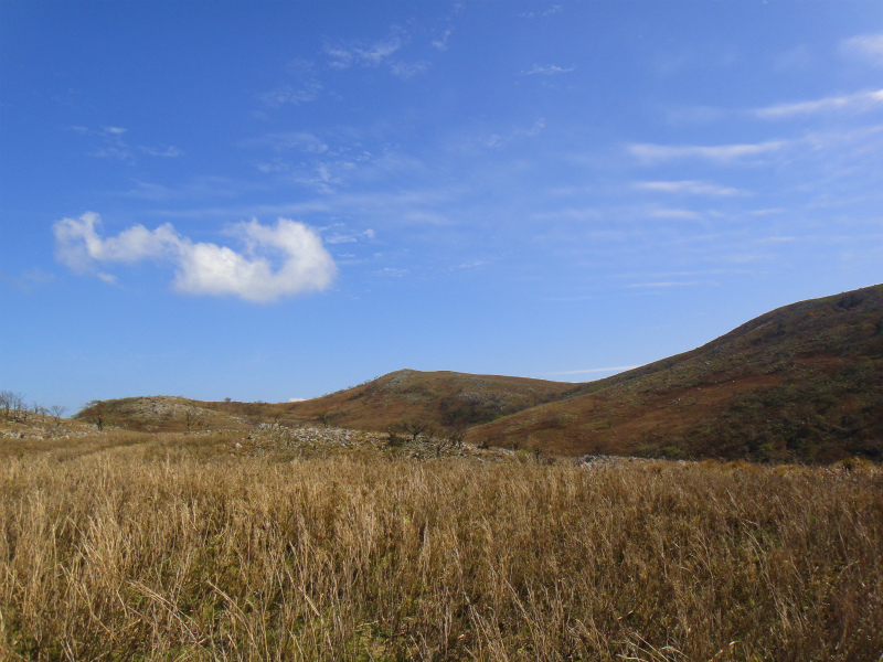2011/11/01 霊仙山_b0220886_11141521.jpg