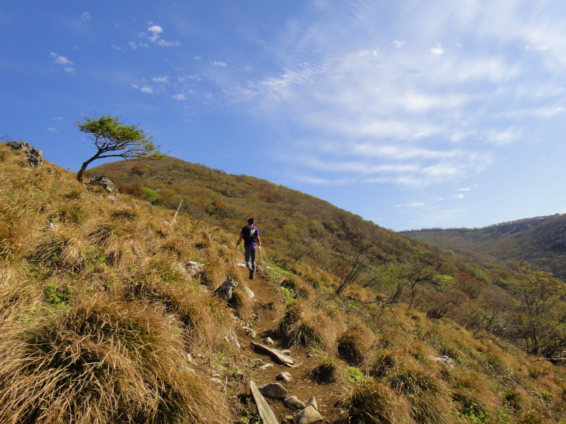 2011/11/01 霊仙山_b0220886_1172544.jpg