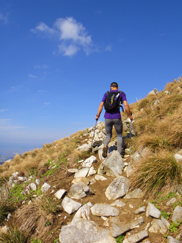 2011/11/01 霊仙山_b0220886_1174296.jpg