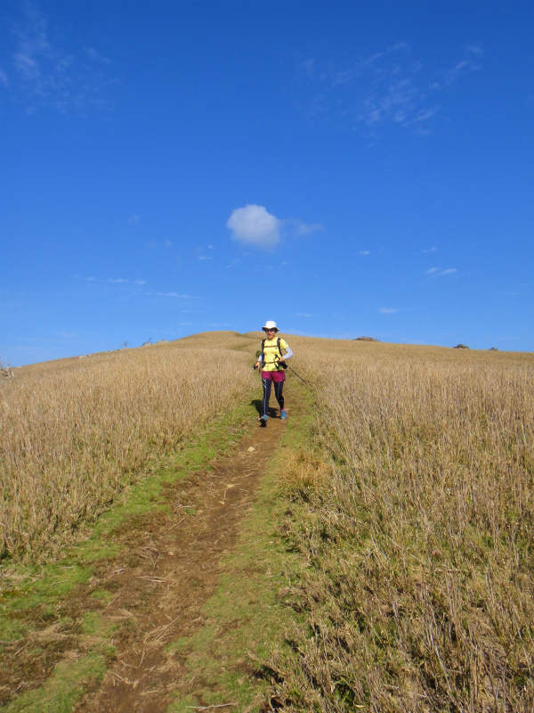 2011/11/01 霊仙山_b0220886_12371117.jpg