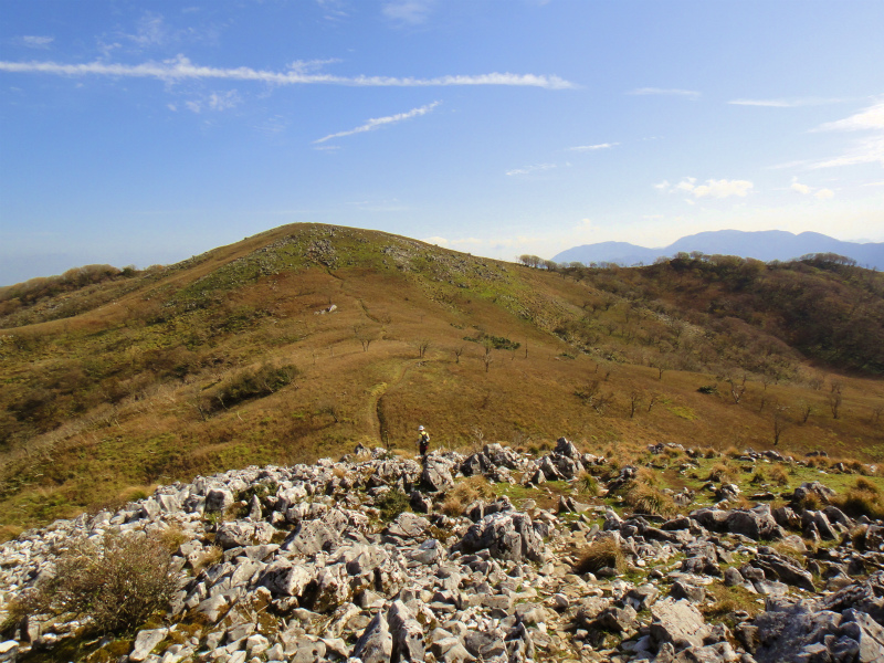 2011/11/01 霊仙山_b0220886_1243359.jpg
