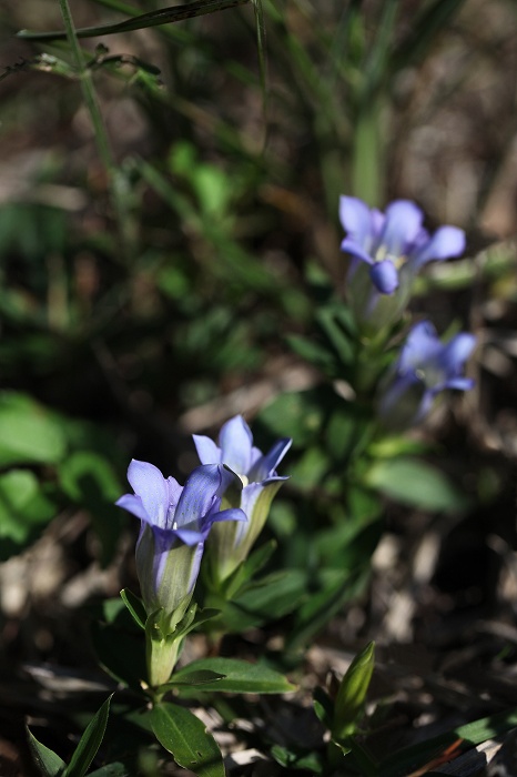 f0000789_2129370.jpg