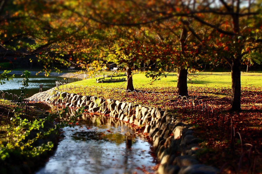 2011 10 31 公園風景_a0143491_23102517.jpg