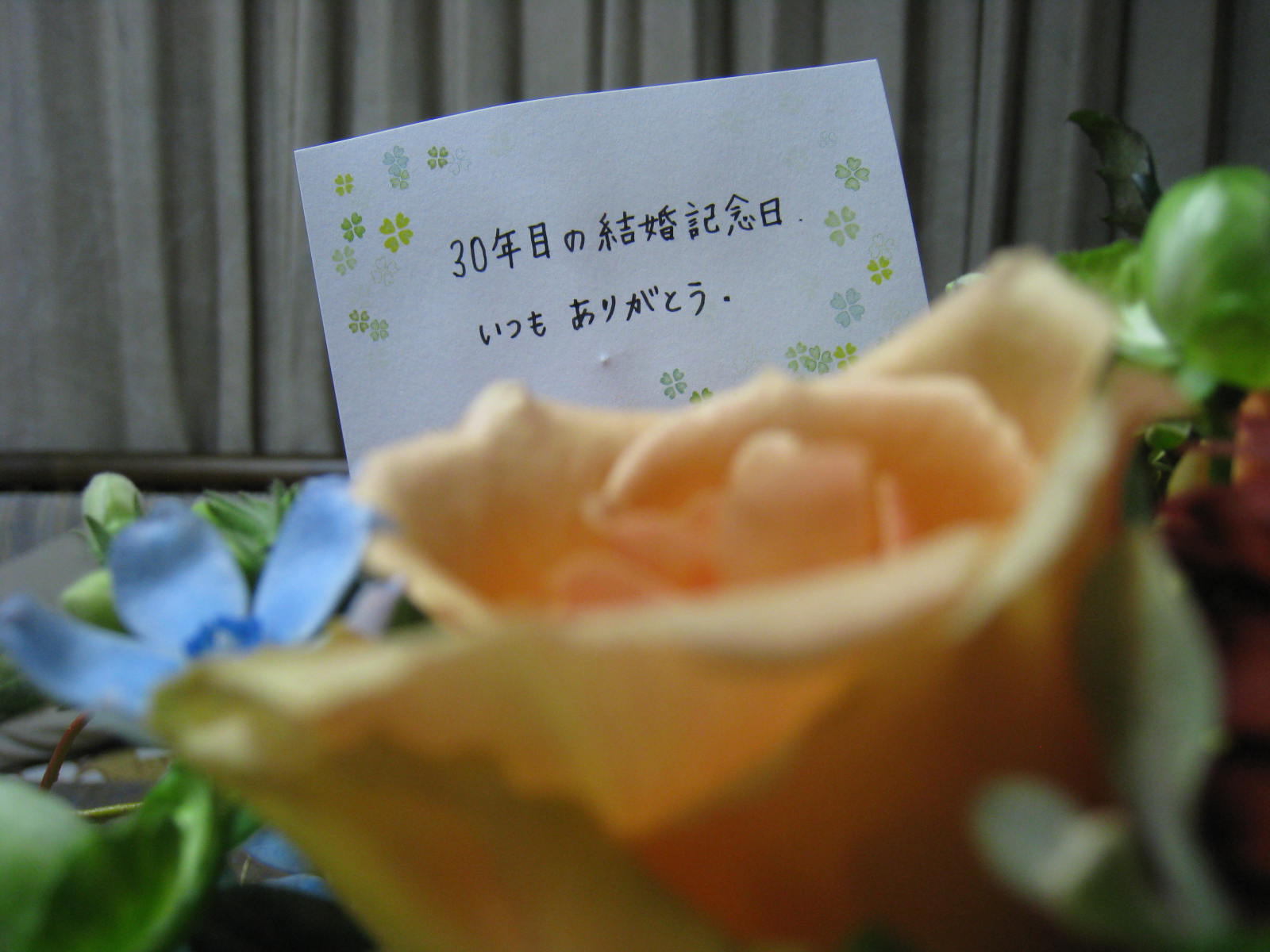 f0236391_0411880.jpg