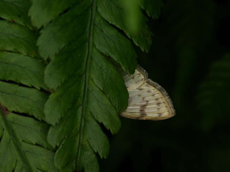 f0204094_2355423.jpg