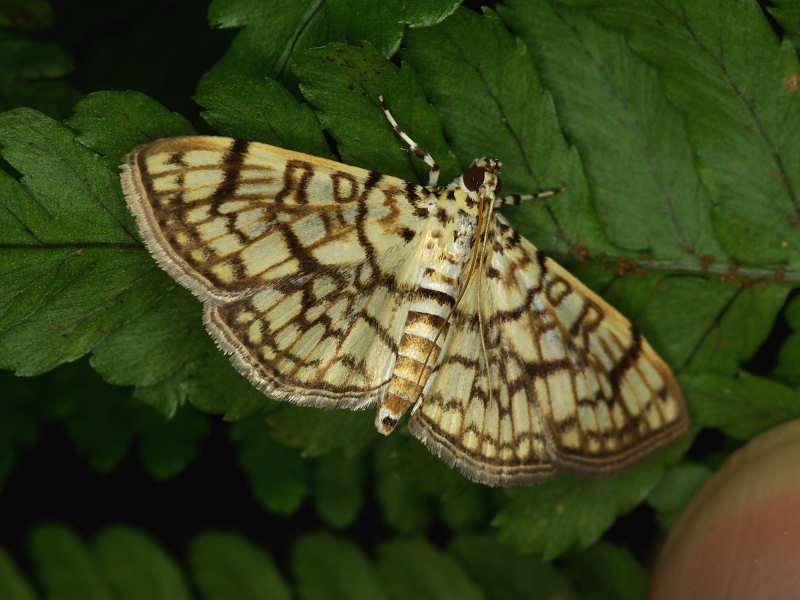 f0204094_23555846.jpg