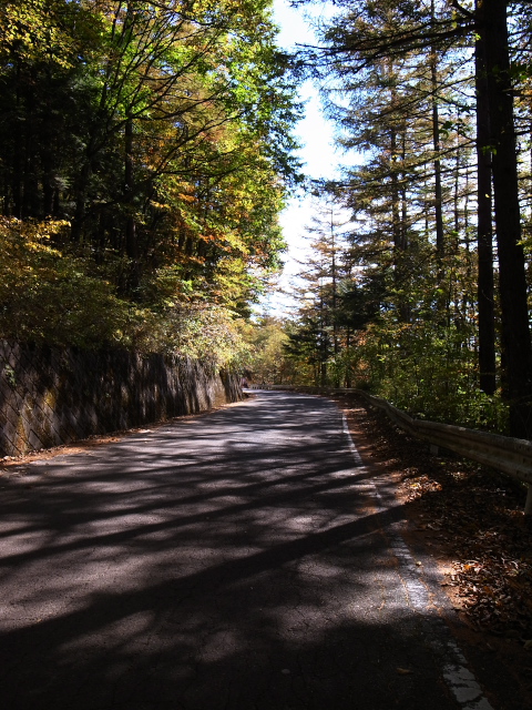 松姫峠～鶴峠～紅葉　その１松姫峠_d0081997_21462542.jpg