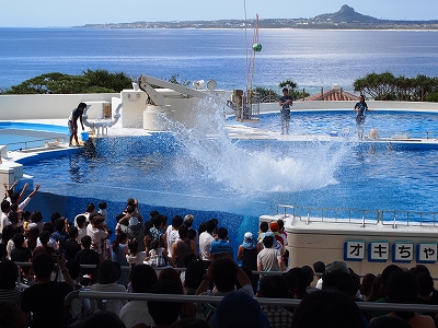 OKINAWA　2011_b0104102_0403117.jpg