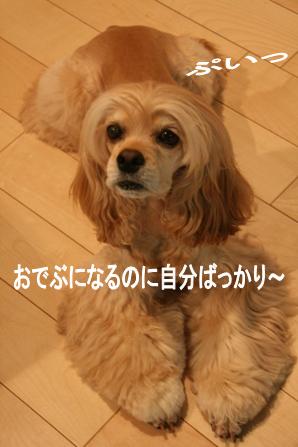 c0128303_21544631.jpg