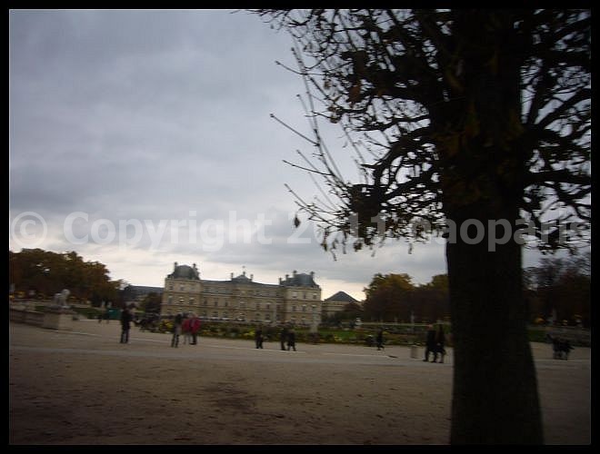 【リュクサンブルグ公園Jardin du Luxembourg】10月29日（PARIS）_a0008105_20381743.jpg