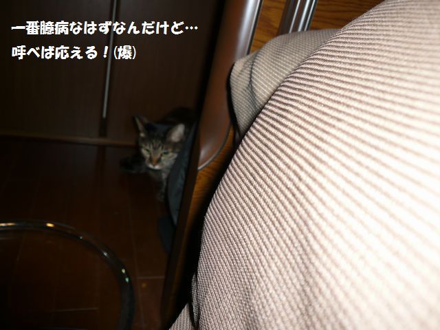 e0094407_20344137.jpg