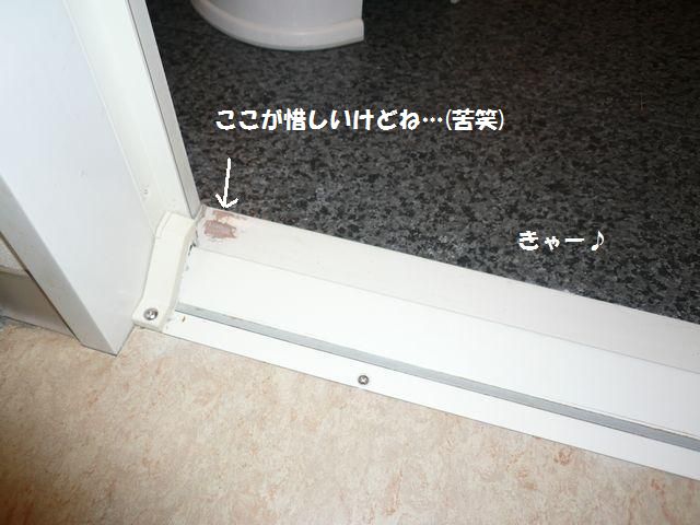 e0094407_20581099.jpg