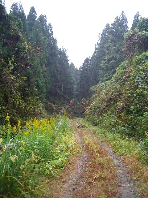 e0243008_1651534.jpg