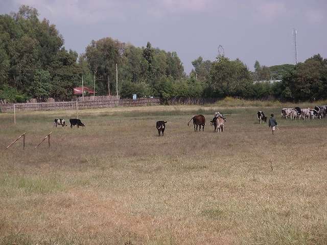 a0223909_22323794.jpg