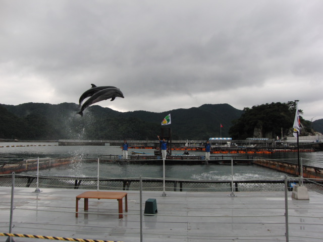 e0141909_10223825.jpg
