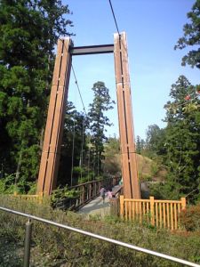 f0006509_21522375.jpg