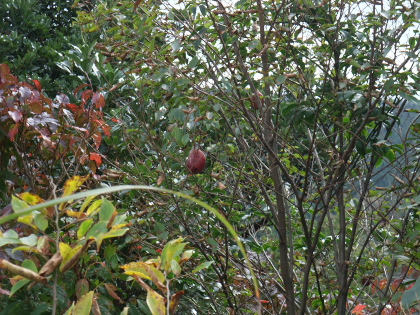 f0218012_2049877.jpg