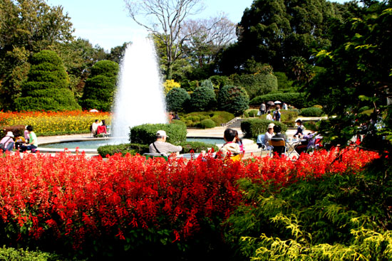 国民文化祭 京都 植物園大茶会_e0048413_15153252.jpg