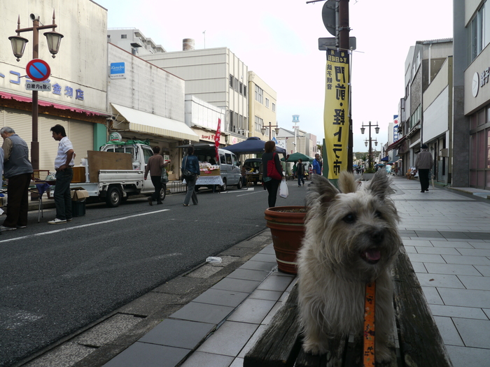 c0039114_2253428.jpg