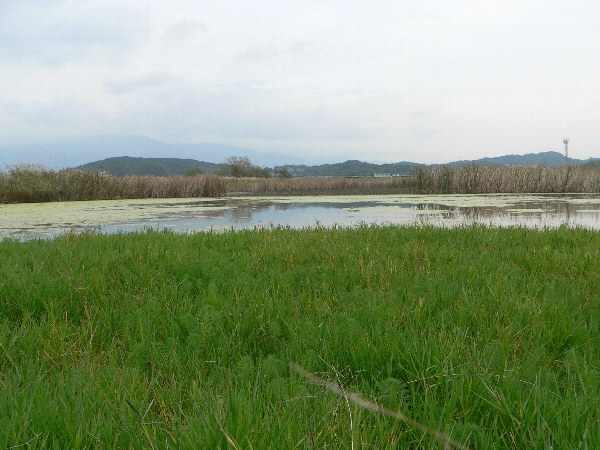 e0002314_2283910.jpg