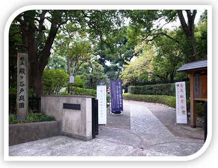 殿ヶ谷戸庭園 お鷹の道 真姿の池湧水 武蔵国分寺跡 猫たち 新パンダごはんの窓