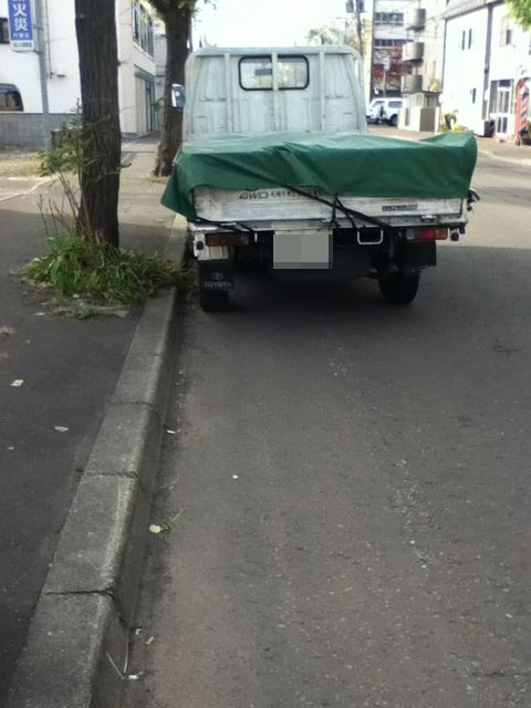 歩道では走る凶器、車道では無防備な邪魔者_c0025115_23301615.jpg