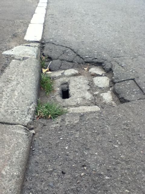 歩道では走る凶器、車道では無防備な邪魔者_c0025115_23303441.jpg