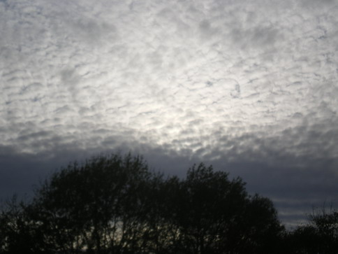 c0124619_8242326.jpg