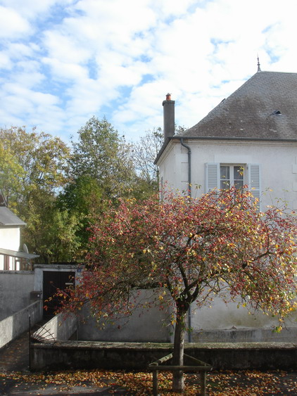 c0124619_8361014.jpg