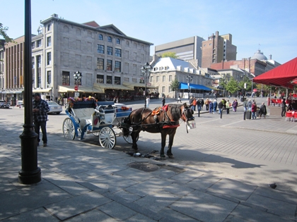 a0105023_2184371.jpg