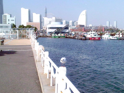 c0010727_114966.jpg