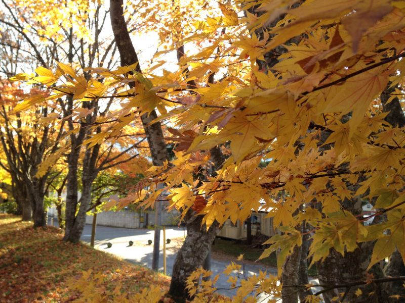 c0144427_0898.jpg