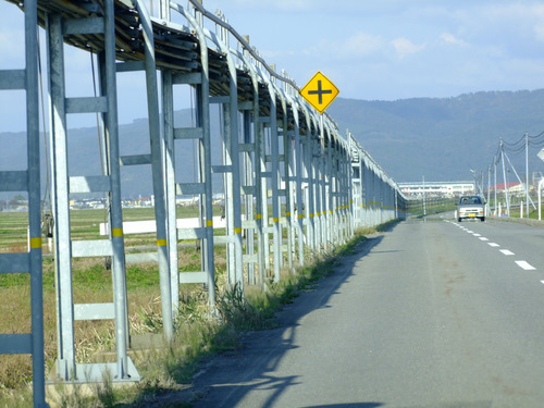 「山形・酒田　山居倉庫」_a0000029_1058796.jpg