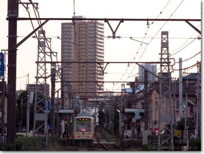 【ろ】路面電車：ろめんでんしゃ_c0221529_1030469.jpg